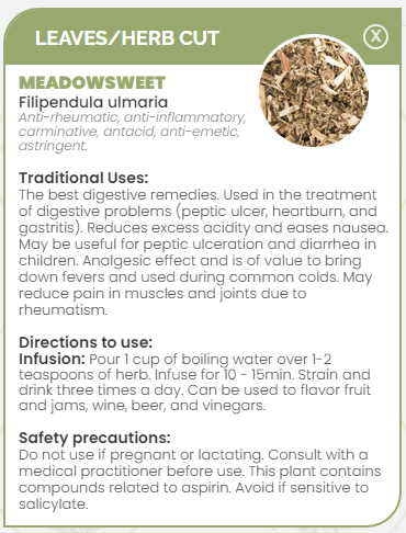 PHARMA GERMANIA - Meadowsweet - 100g | One Life Health