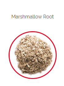 PHARMA GERMANIA - Marshmallow Root Powder - 75g | One Life Health