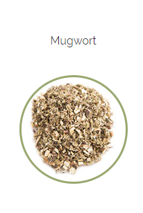 PHARMA GERMANIA - Mugwort - 75g | One Life Health