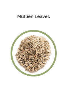 PHARMA GERMANIA - Mullein Leaves - 75g | One Life Health