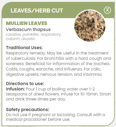 PHARMA GERMANIA - Mullein Leaves - 75g | One Life Health