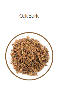 PHARMA GERMANIA - Oak Bark - 100g | One Life Health