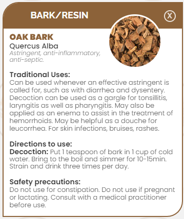 PHARMA GERMANIA - Oak Bark - 100g | One Life Health