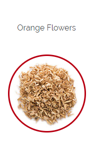 PHARMA GERMANIA - Orange Sweet Peel - 50g | One Life Health