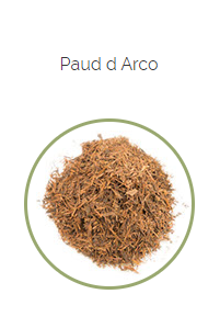 PHARMA GERMANIA - Paud D Arco - 100g | One Life Health