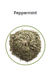PHARMA GERMANIA - Peppermint Leaves - 60g | One Life Health