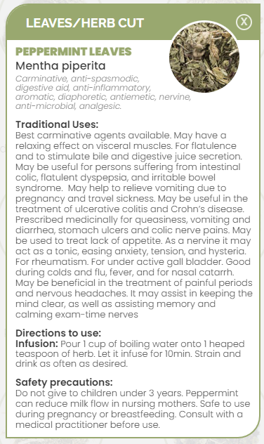PHARMA GERMANIA - Peppermint Leaves - 60g | One Life Health