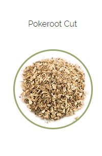 PHARMA GERMANIA - Poke Root - 100g | One Life Health