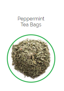 PHARMA GERMANIA - Peppermint - 25 Tea Bag | One Life Health