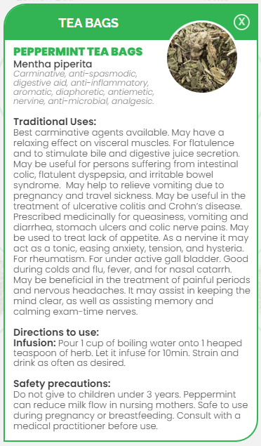 PHARMA GERMANIA - Peppermint - 25 Tea Bag | One Life Health