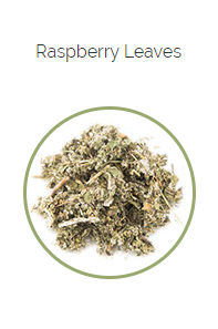 PHARMA GERMANIA - Raspberry Leaves - 75g | One Life Health