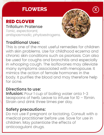 PHARMA GERMANIA - Red Clover - 60g | One Life Health