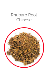 PHARMA GERMANIA - Rhubarb Root - 100g | One Life Health