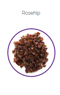 PHARMA GERMANIA - Rosehip - 100g | One Life Health