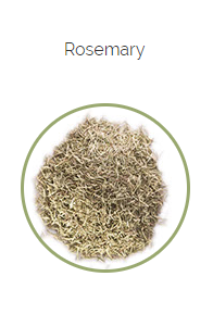 PHARMA GERMANIA - Rosemary - 100g | One Life Health