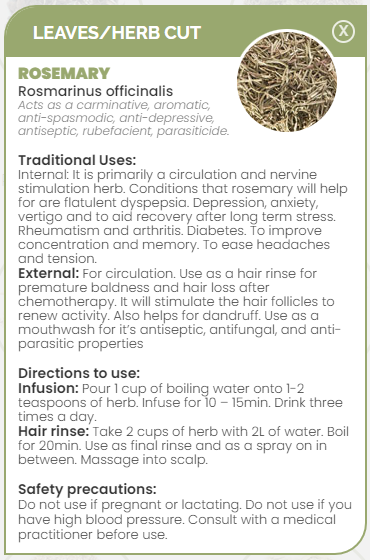 PHARMA GERMANIA - Rosemary - 100g | One Life Health