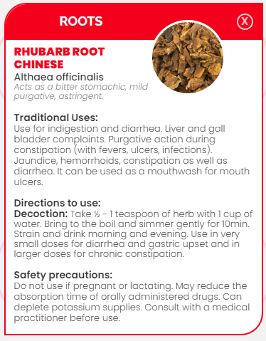PHARMA GERMANIA - Rhubarb Root - 100g | One Life Health