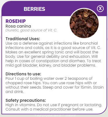 PHARMA GERMANIA - Rosehip - 100g | One Life Health