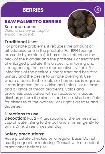 PHARMA GERMANIA - Saw Palmetto Berries - 75g | One Life Health