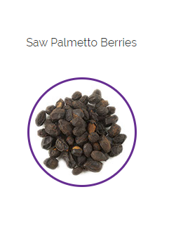 PHARMA GERMANIA - Saw Palmetto Berries - 75g | One Life Health