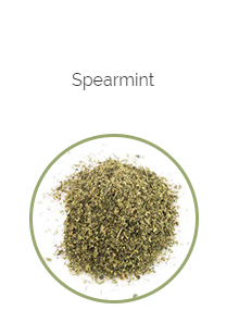 PHARMA GERMANIA - Spearmint - 75g | One Life Health