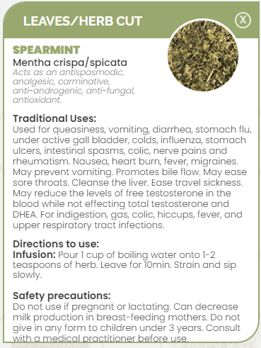 PHARMA GERMANIA - Spearmint - 75g | One Life Health