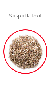 PHARMA GERMANIA - Sarsparilla Root - 75g | One Life Health