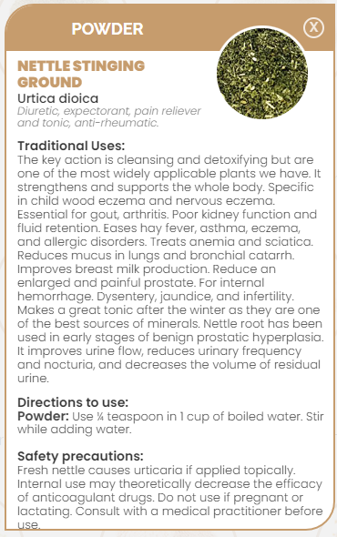 PHARMA GERMANIA - Nettle Stinging Ground - 100g | One Life Health