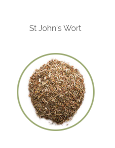 PHARMA GERMANIA - St John's Wort - 75g | One Life Health