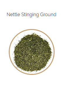 PHARMA GERMANIA - Nettle Stinging Ground - 100g | One Life Health