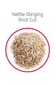 PHARMA GERMANIA - Nettle Stinging Root Cut - 75g | One Life Health