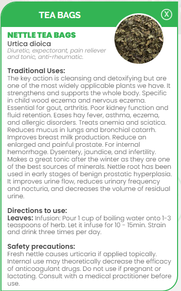 PHARMA GERMANIA - Nettle Stinging - 25 Tea Bags | One Life Health