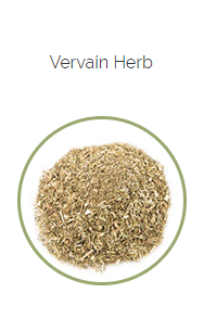 PHARMA GERMANIA - Vervain Herb - 75g | One Life Health