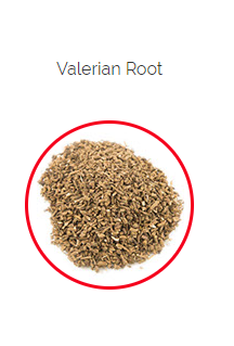 PHARMA GERMANIA - Valerian Root - 100g | One Life Health
