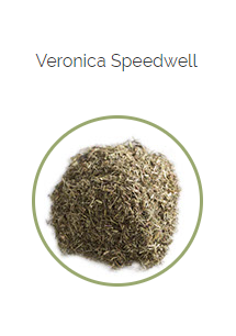 PHARMA GERMANIA - Veronica Speedwell - 75g | One Life Health
