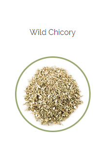 PHARMA GERMANIA - Wild Chicory - 75g | One Life Health