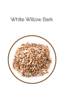 PHARMA GERMANIA - White Willow Bark - 100g | One Life Health