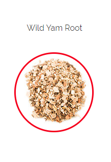 PHARMA GERMANIA - Wild Yam Root - 100g | One Life Health