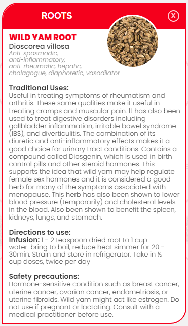 PHARMA GERMANIA - Wild Yam Root - 100g | One Life Health