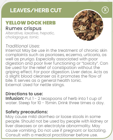 PHARMA GERMANIA - Yellow Dock  - 75g | One Life Health