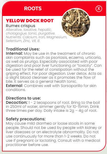 PHARMA GERMANIA - Yellow Dock  - 75g | One Life Health