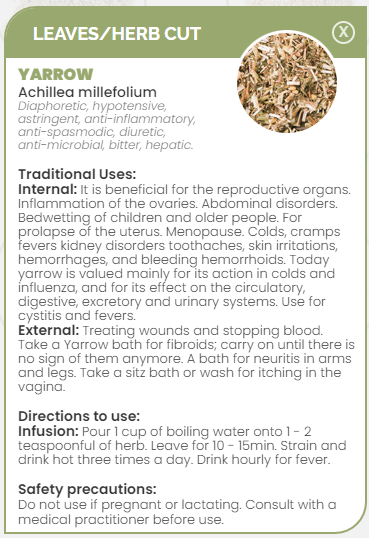 PHARMA GERMANIA - Yarrow - 100g | One Life Health