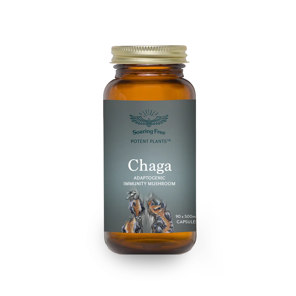 SOARING FREE SUPERFOODS - Organic Chaga - 90 Capsules | One Life Health