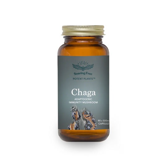 SOARING FREE SUPERFOODS - Organic Chaga - 90 Capsules | One Life Health