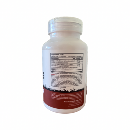 INVINCIBLE LIVING - Alpha Male - 90 Capsules | One Life Health