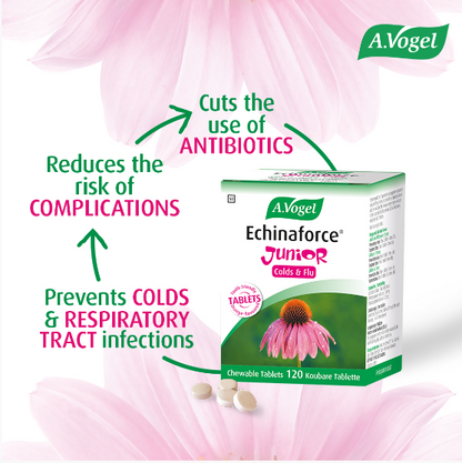 A.VOGEL - Echinaforce® Junior Tablets - 120 Chewable Tablets | One Life Health