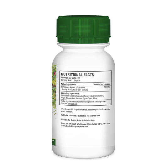 NUTRIHERB - Elderberry 60 Capsules | One Life Health