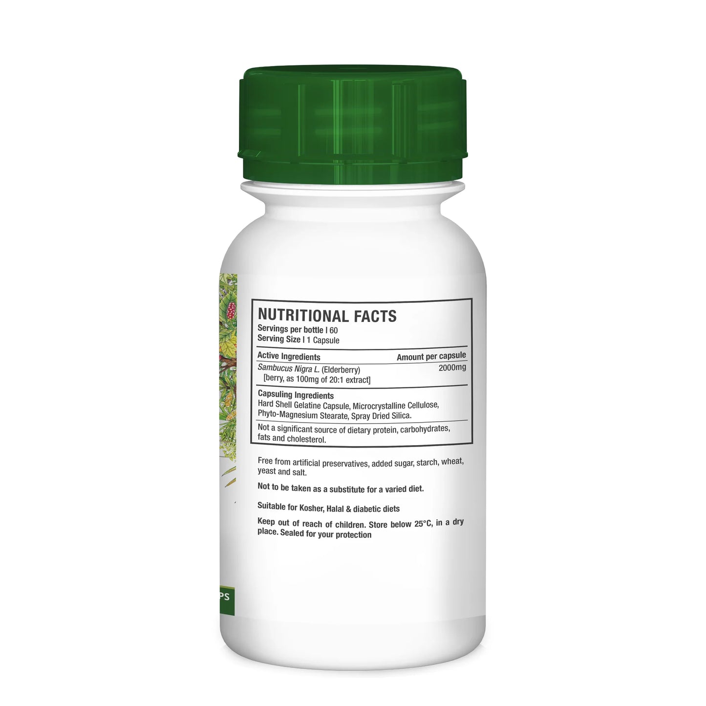 NUTRIHERB - Elderberry 60 Capsules | One Life Health