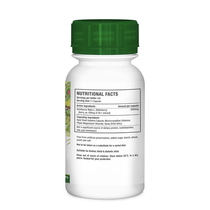 NUTRIHERB - Elderberry 60 Capsules | One Life Health