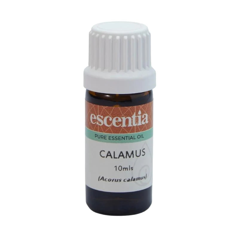 ESCENTIA - Calamus Essential Oil - 10ml | One Life Health